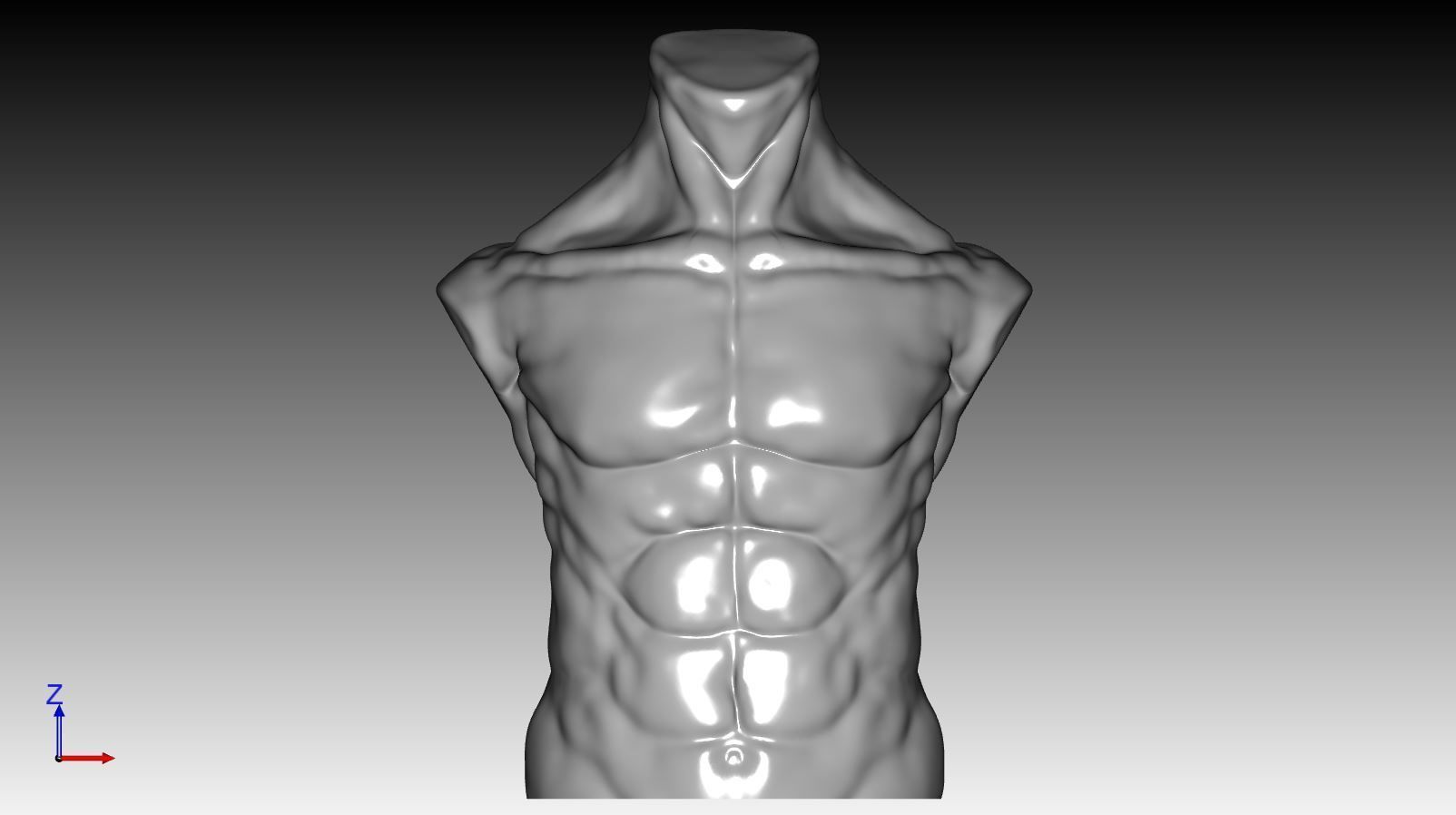Bust - MaleTorso 3D print model_3
