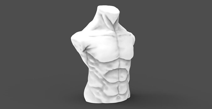 Bust - MaleTorso 3D print model