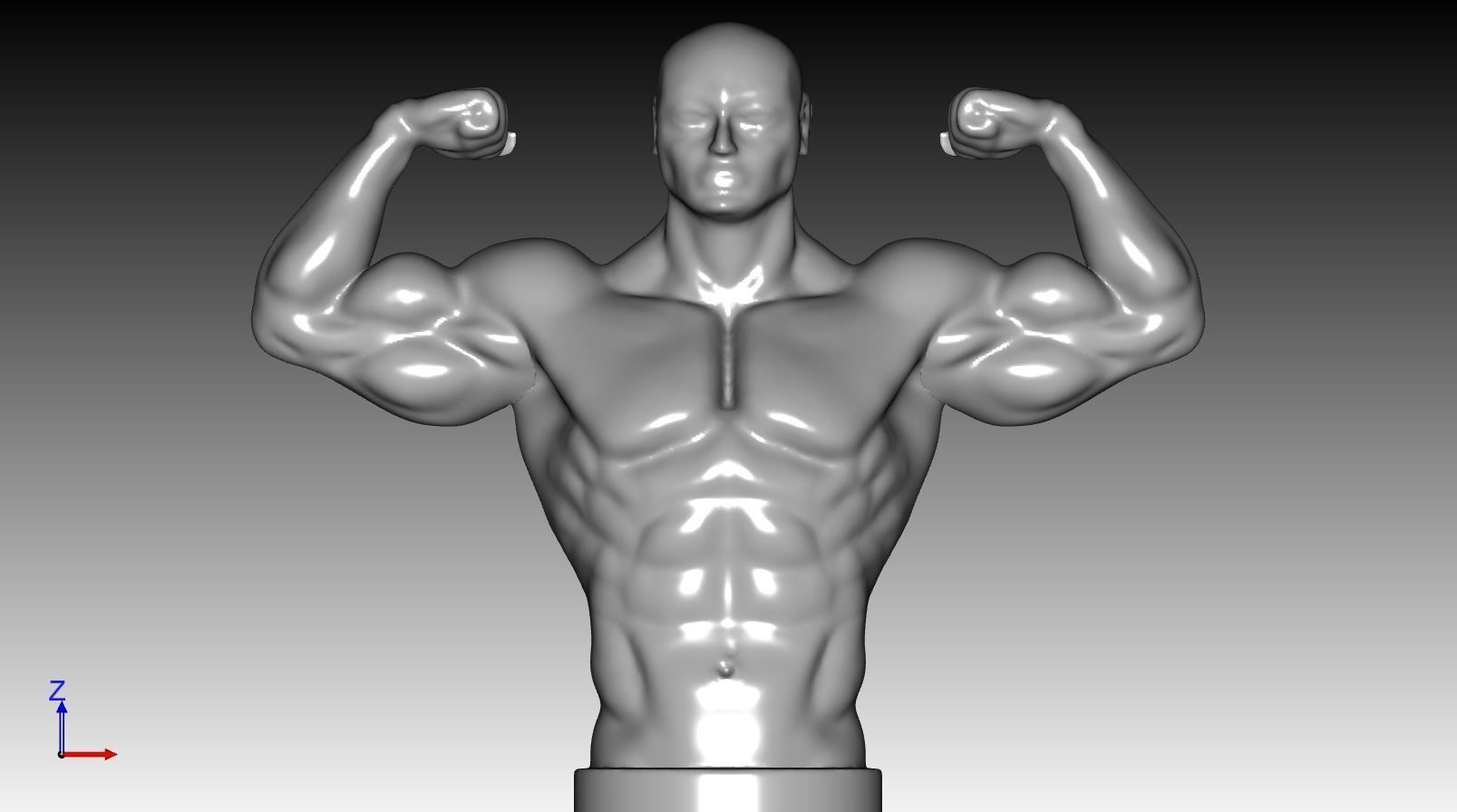 Bust - bodybuilder 3D print model_3