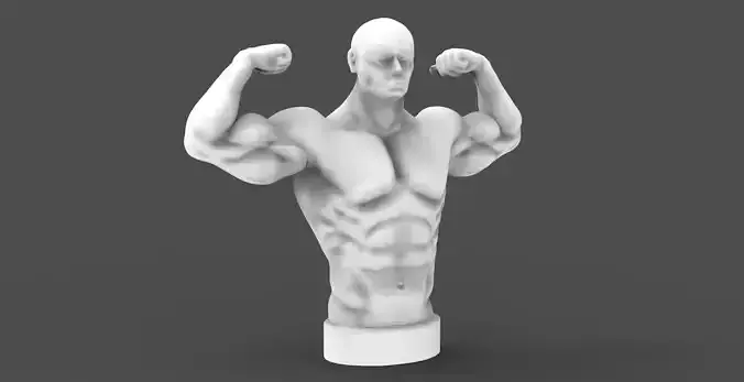 Bust - bodybuilder