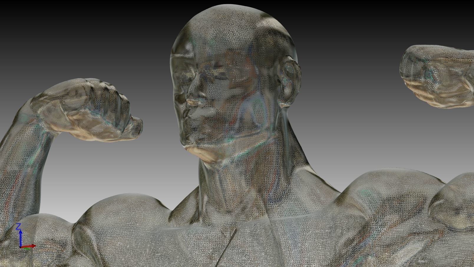 Bust - bodybuilder 3D print model_4