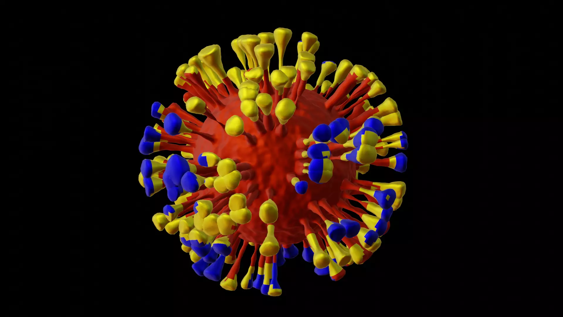 corona virus 3D MODEL  3D model_0