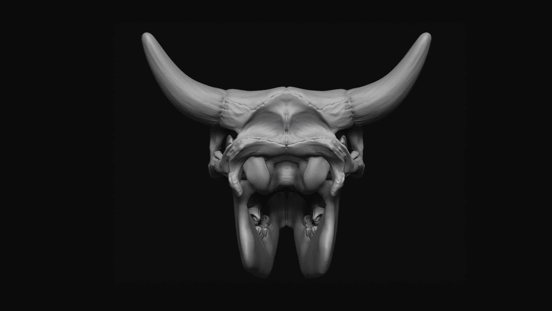 Cattle Skull 3D model_7