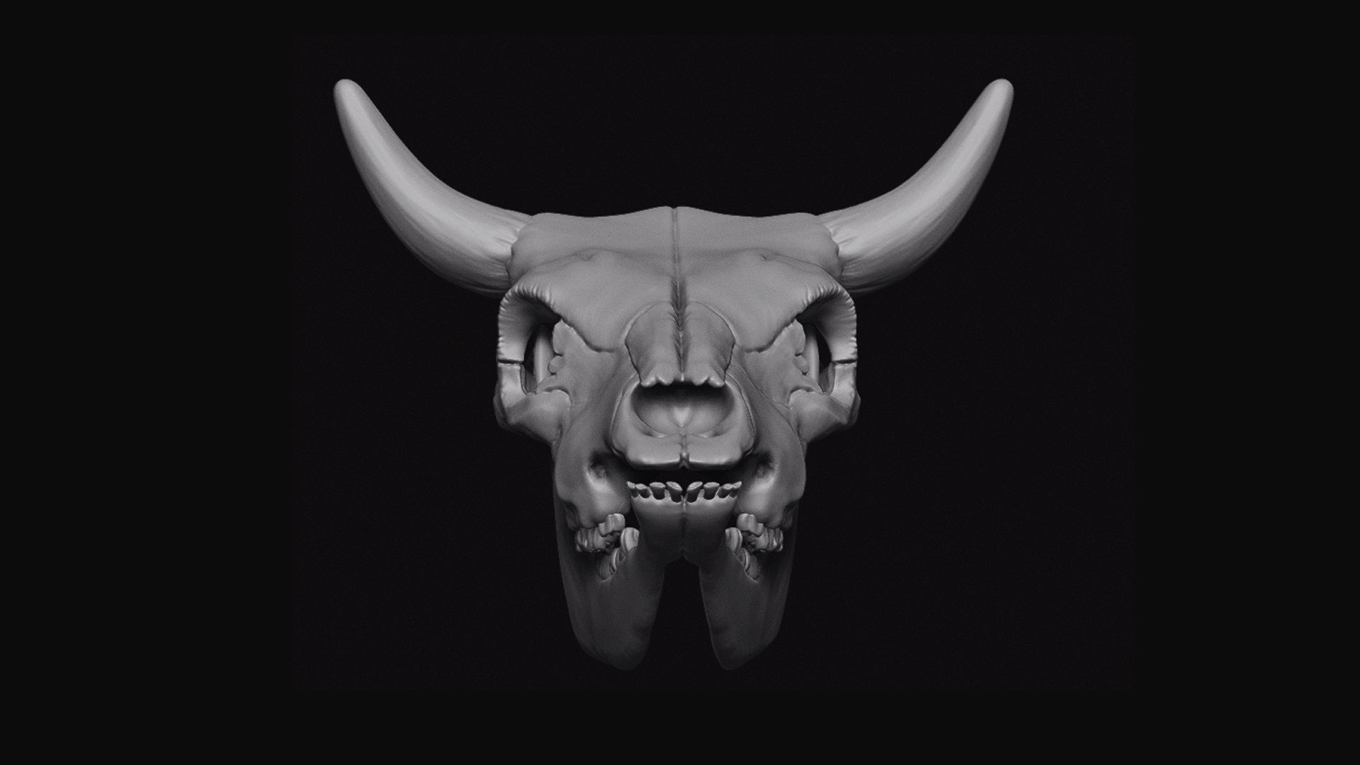 Cattle Skull 3D model_6