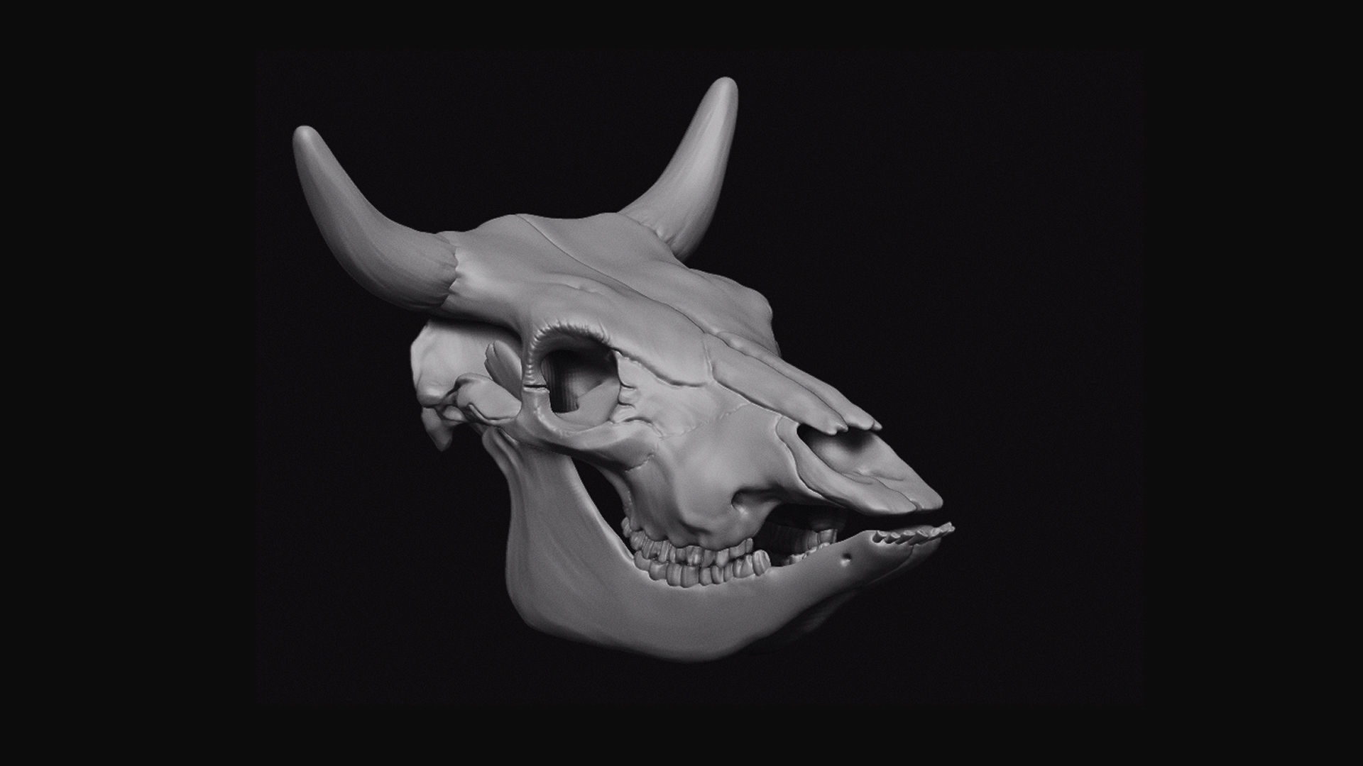 Cattle Skull 3D model_1