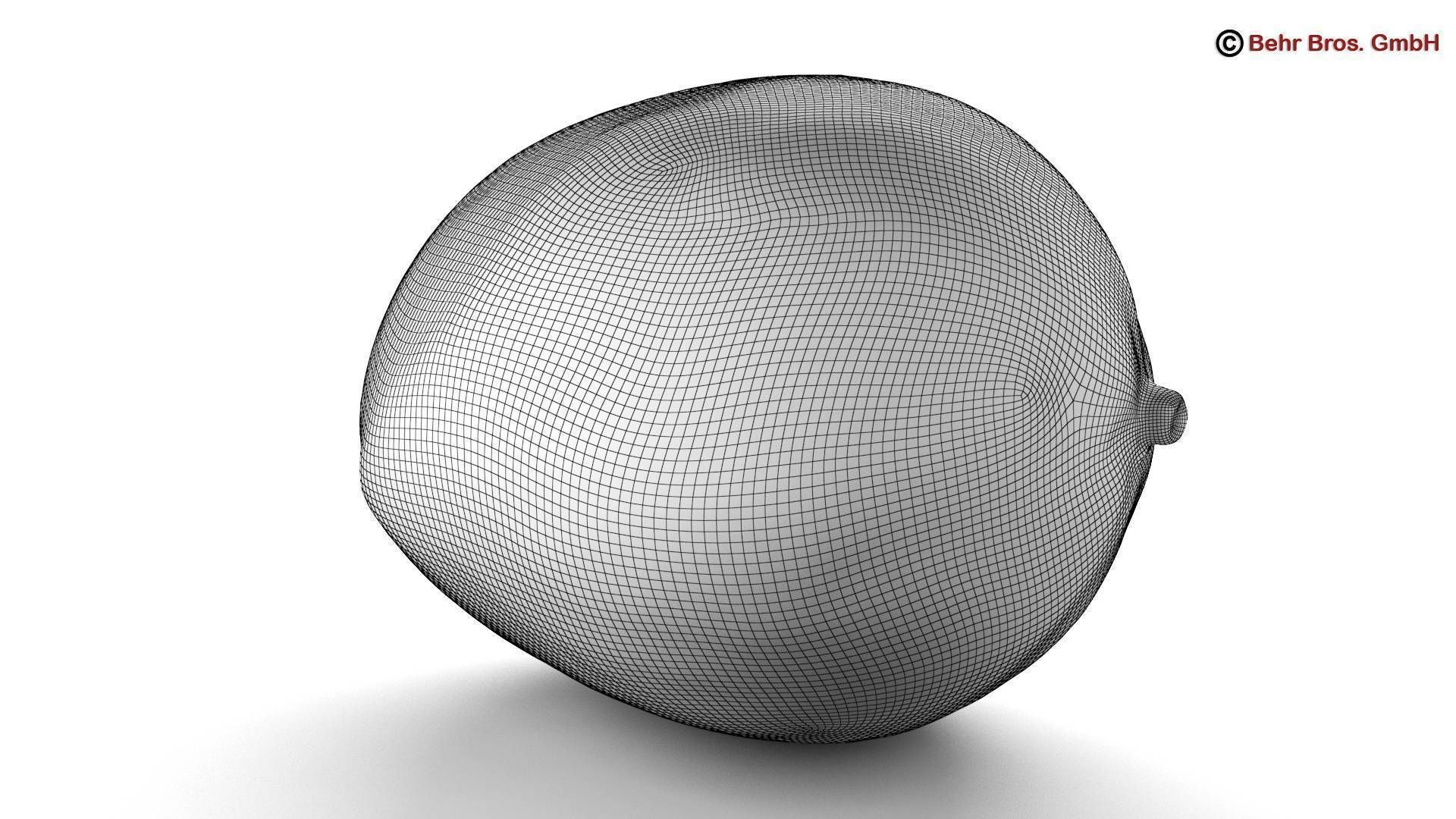Photo Realistic Mangos 3D model_5