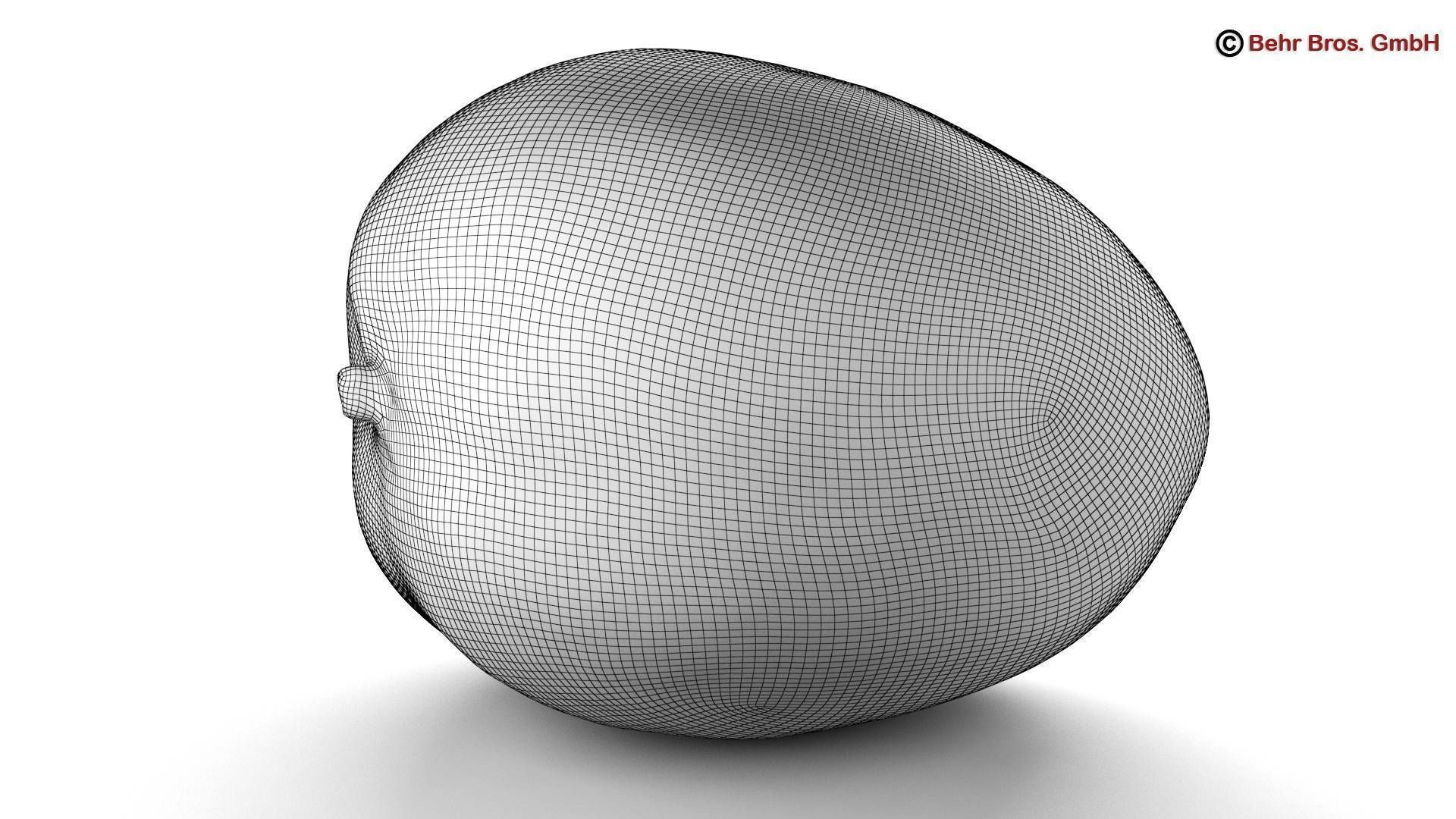 Photo Realistic Mangos 3D model_4