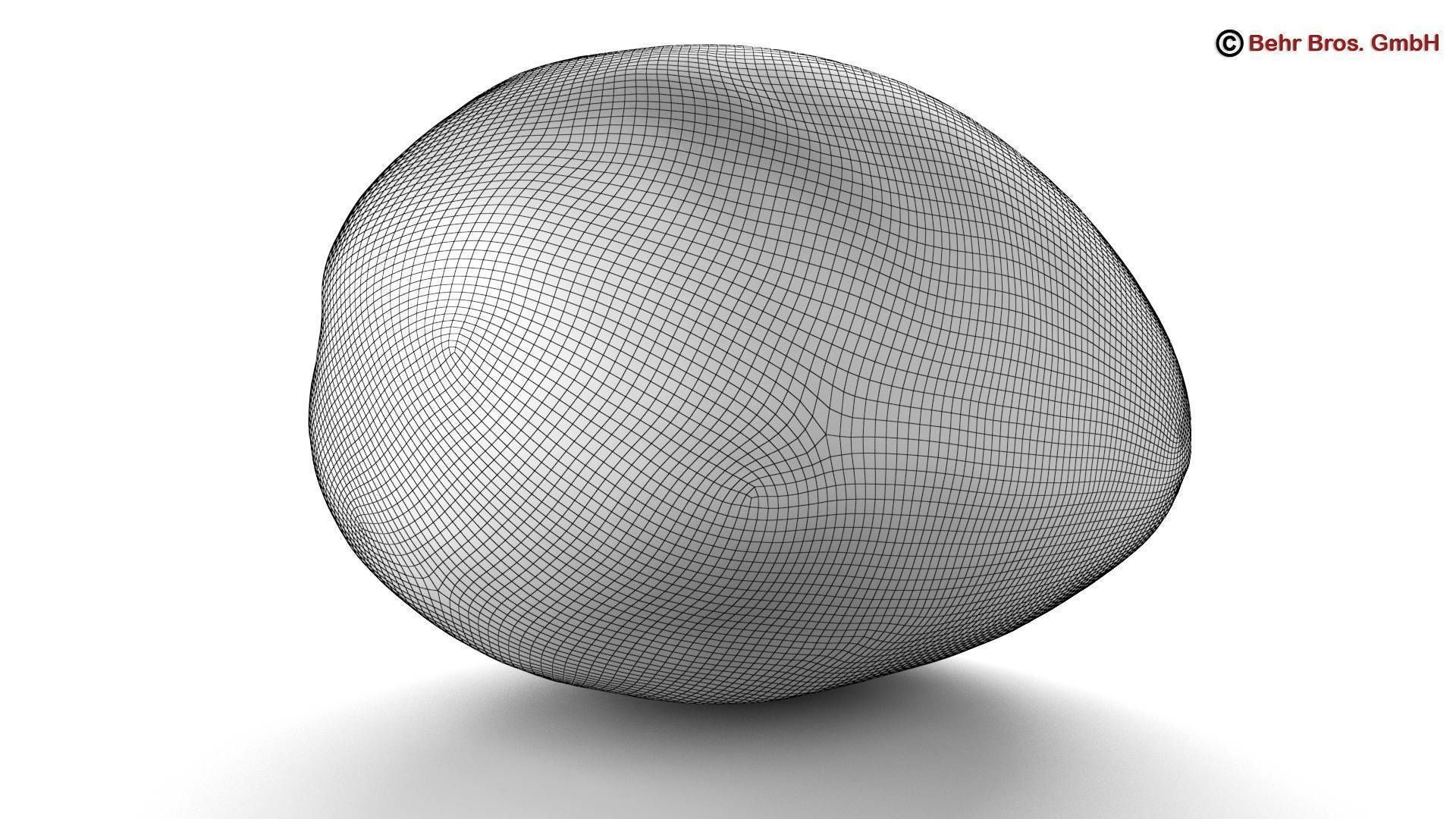 Photo Realistic Mangos 3D model_6