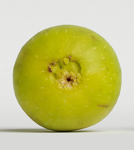 Fig   3D model 6