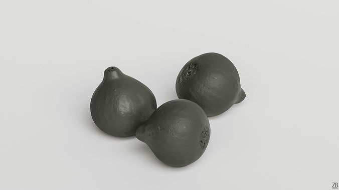 Fig   3D model 3