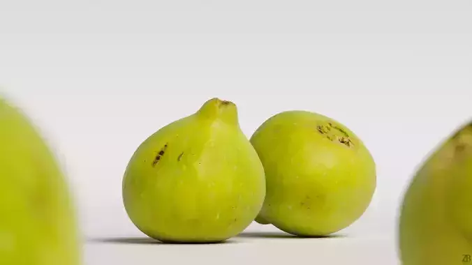 Fig   3D model