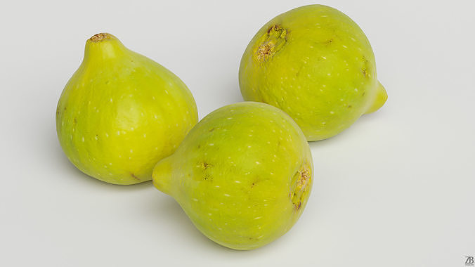 Fig   3D model 2