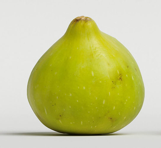 Fig   3D model 5