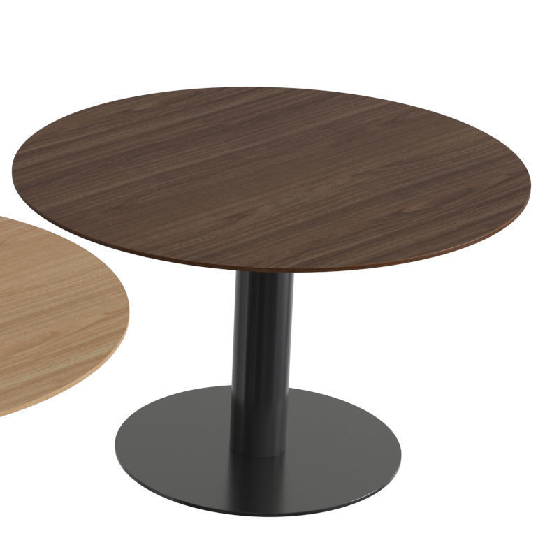 In Between SK12 Table 3D model_2