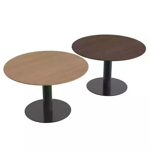 In Between SK12 Table 3D model