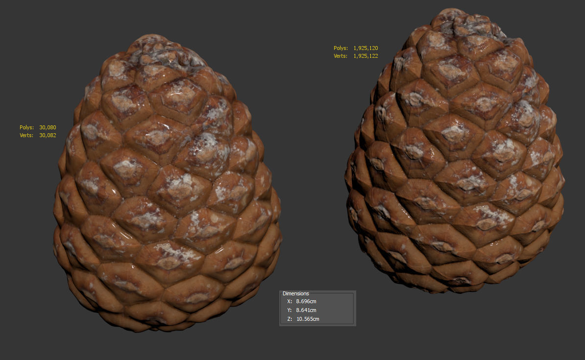 Pinecone 3D model_9