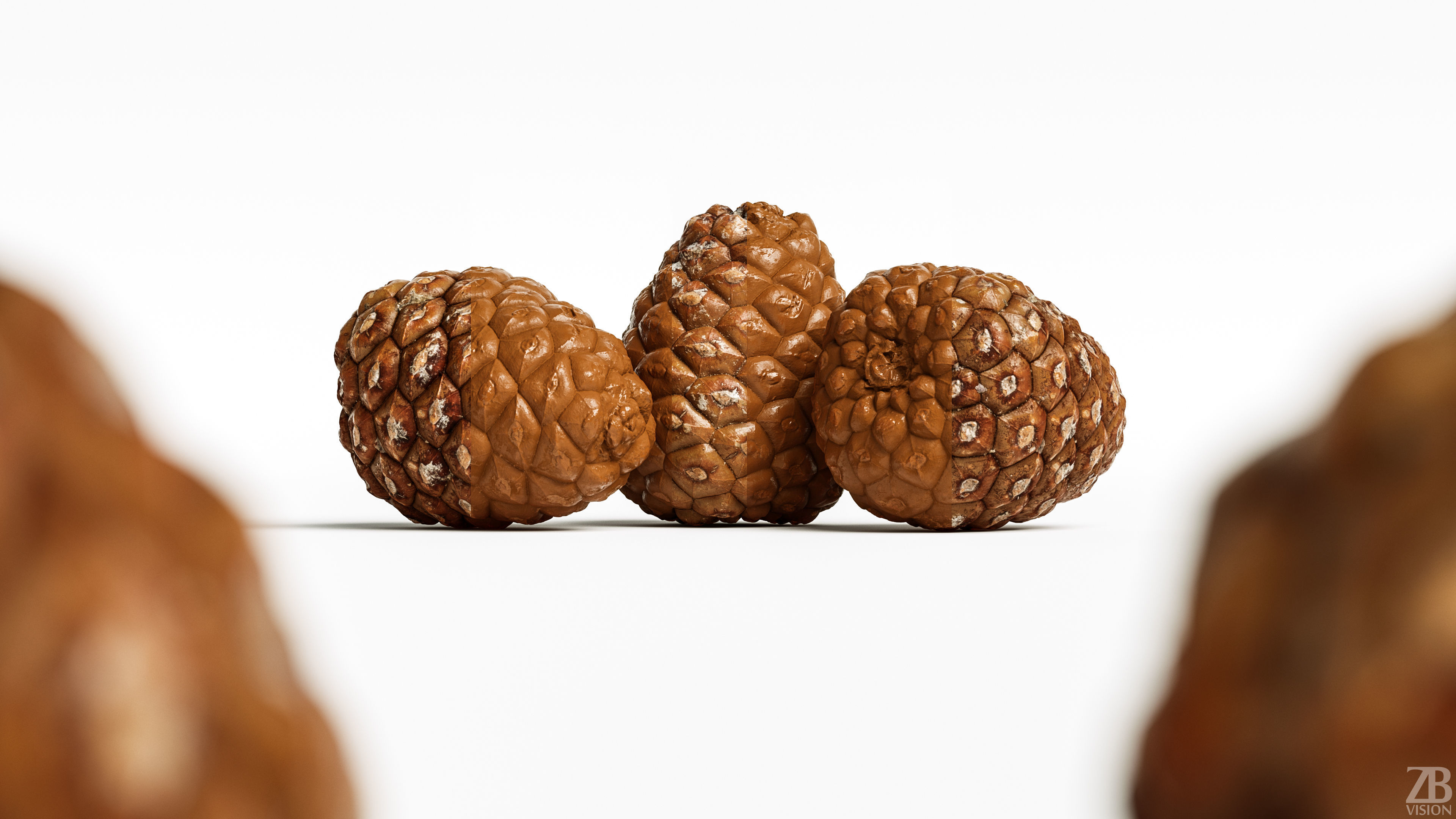 Pinecone 3D model_1