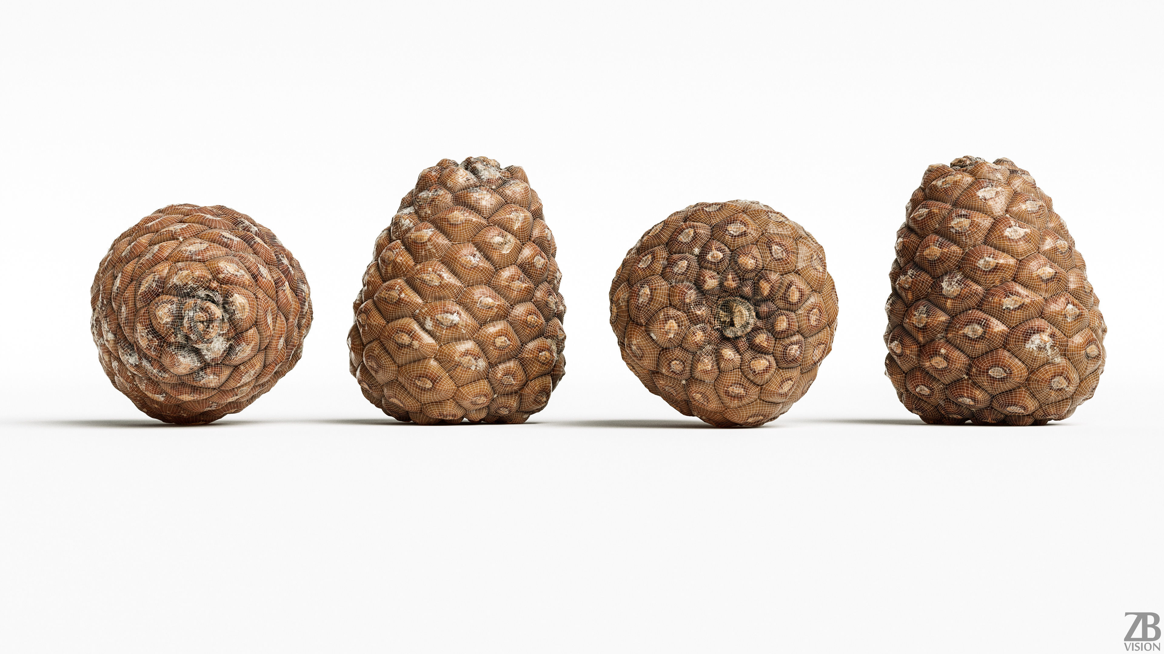 Pinecone 3D model_8