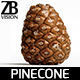 Pinecone 3D model_12