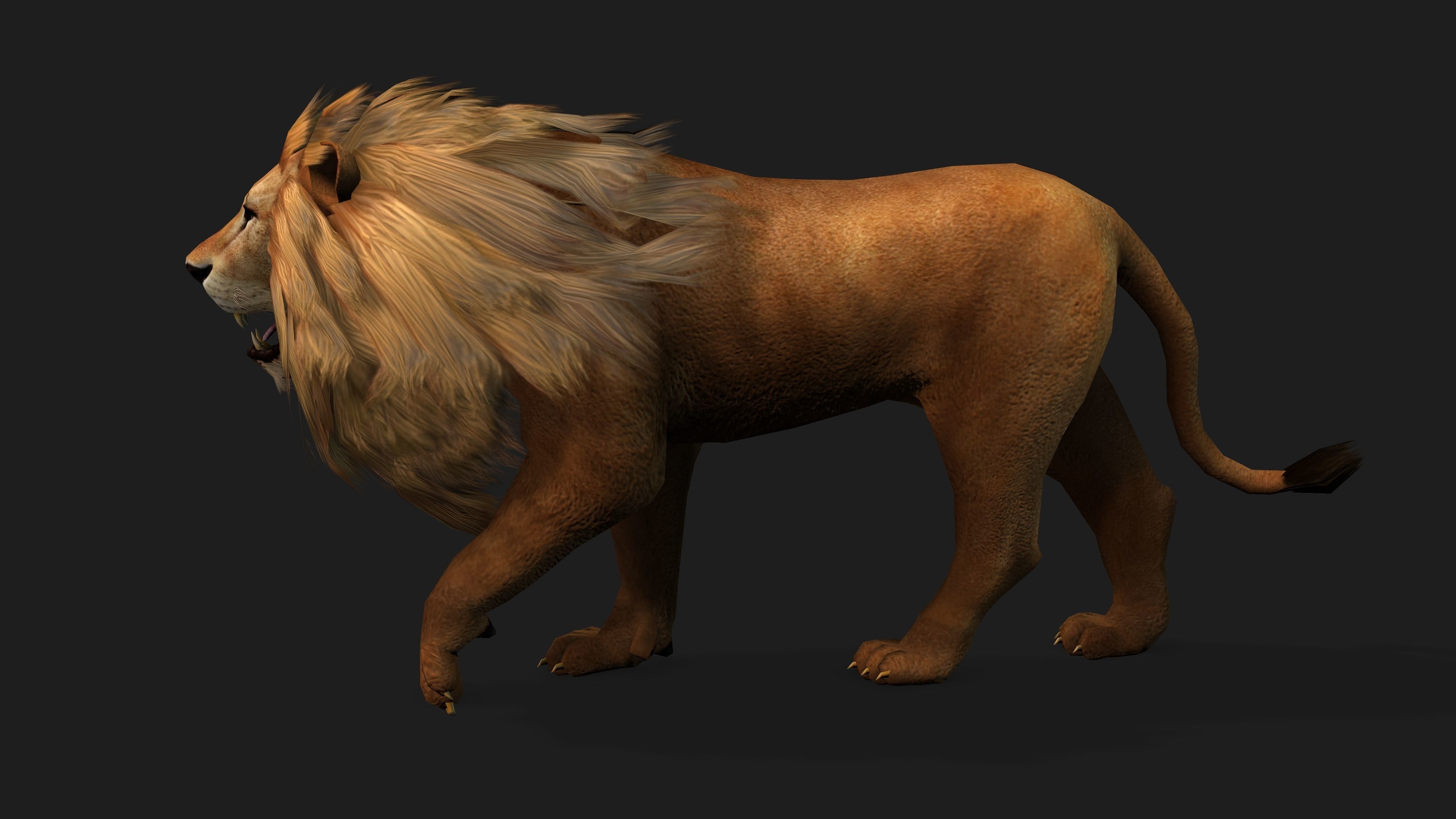 Lion with Animation 8 Low-poly 3D model_14