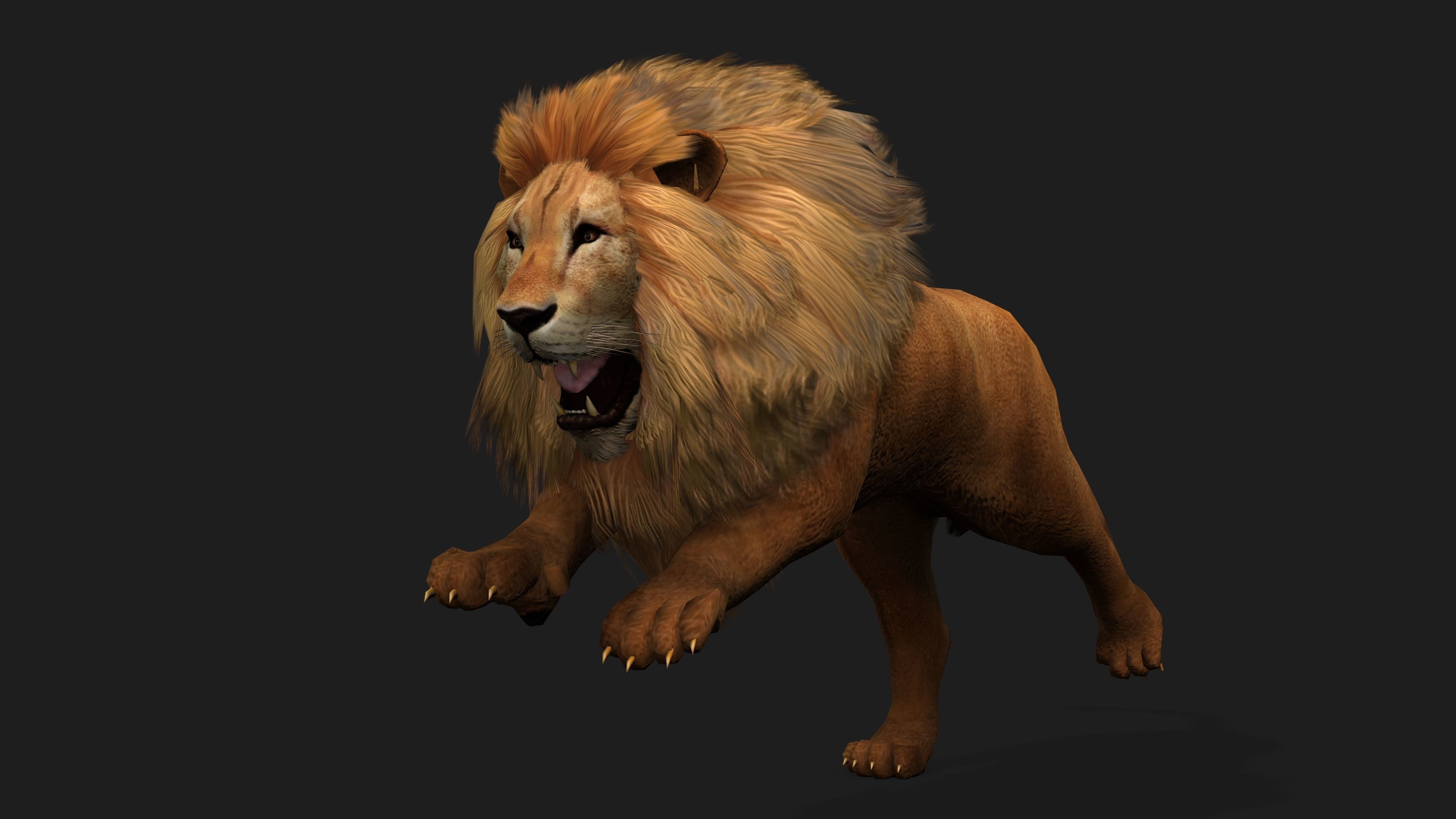 Lion with Animation 8 Low-poly 3D model_12