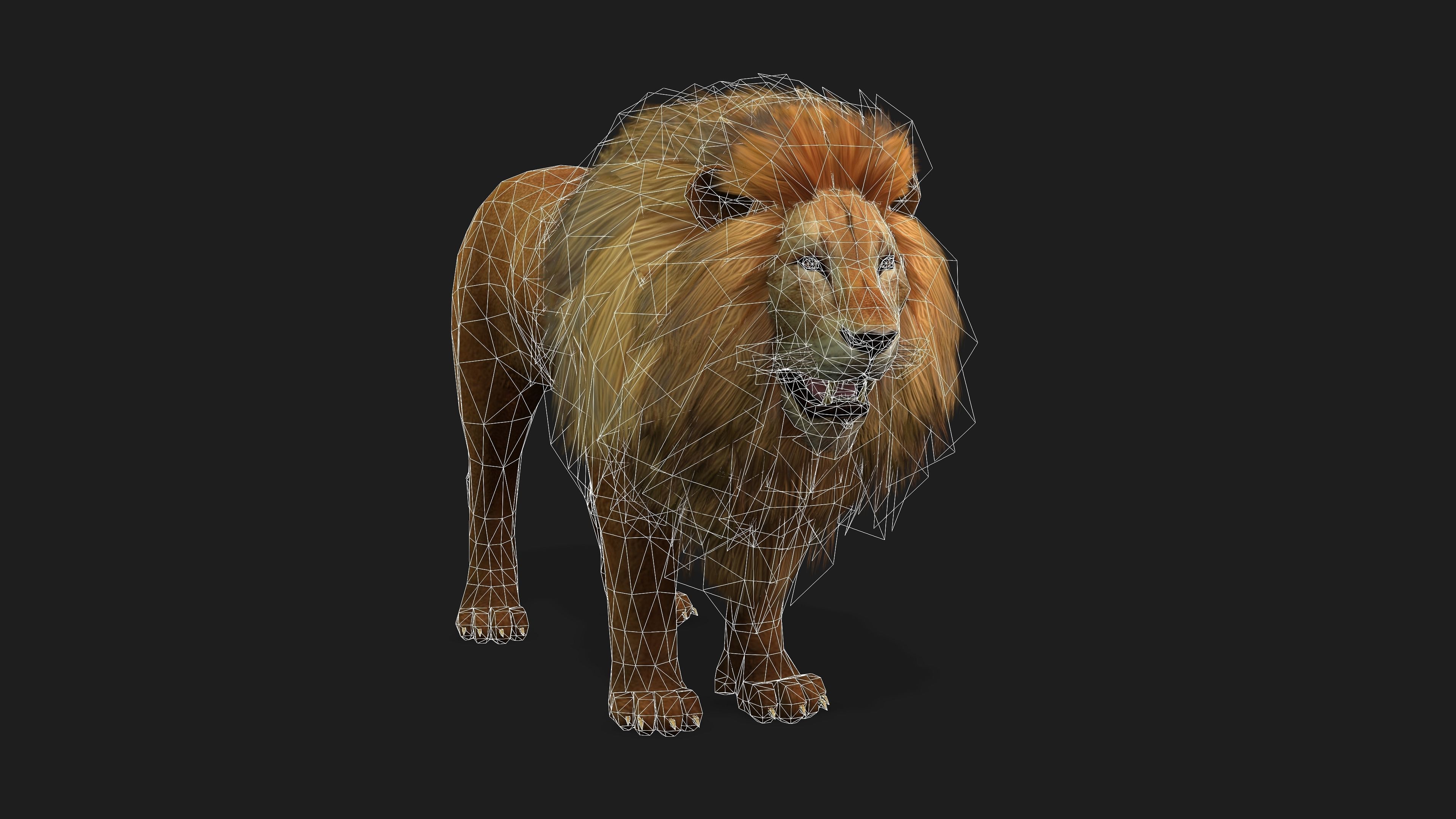 Lion with Animation 8 Low-poly 3D model_18