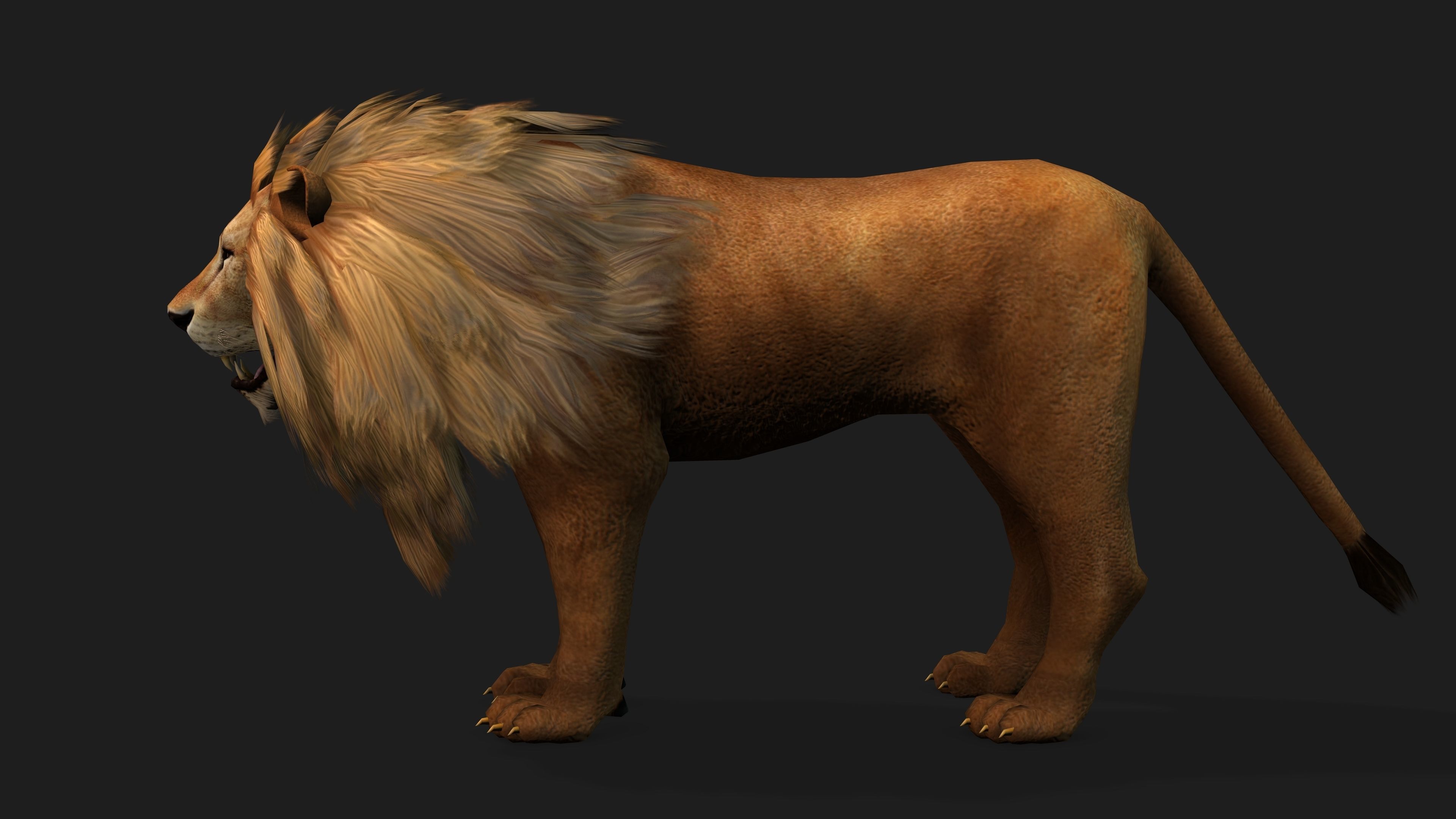 Lion with Animation 8 Low-poly 3D model_17