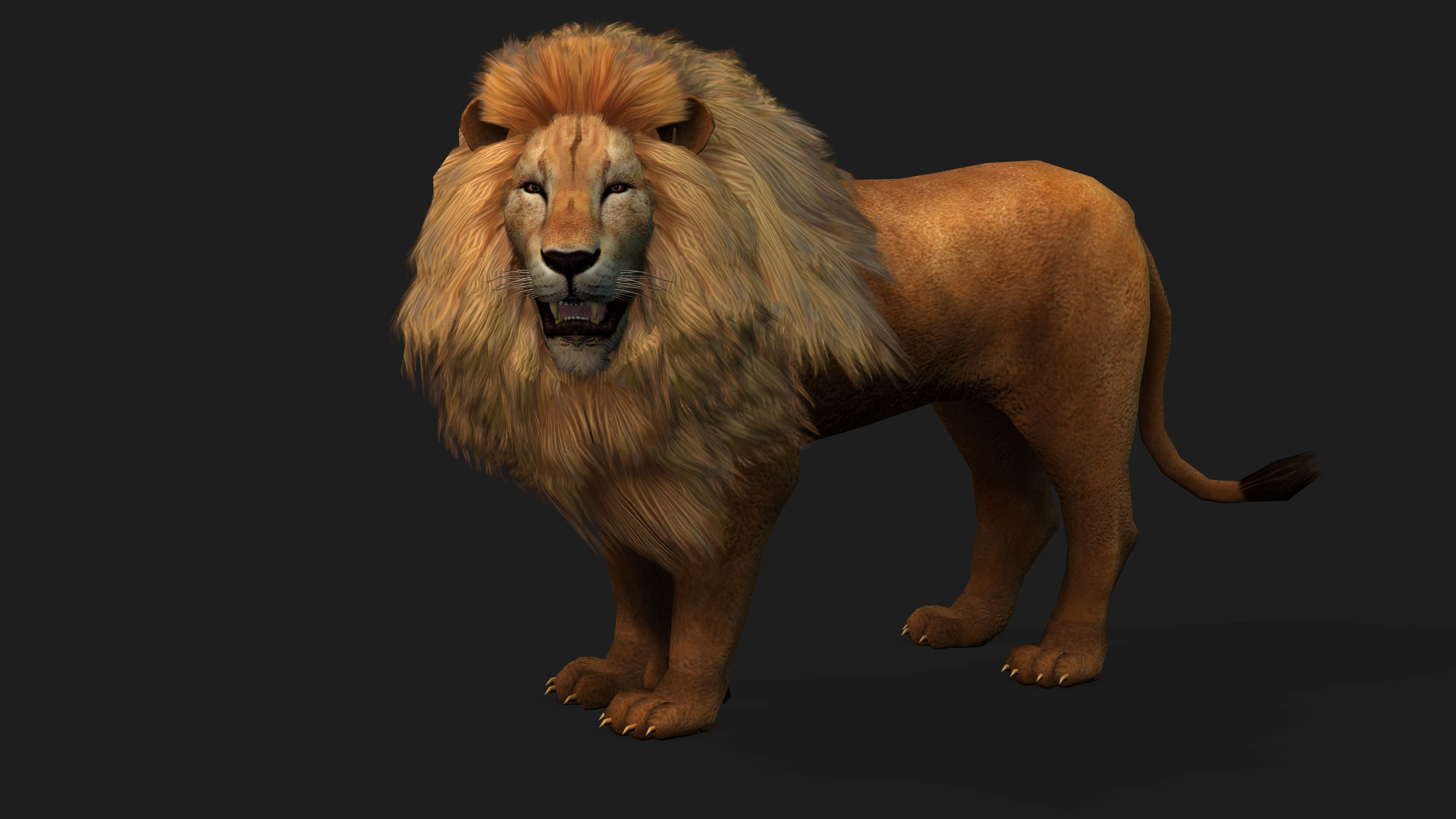 Lion with Animation 8 Low-poly 3D model_16