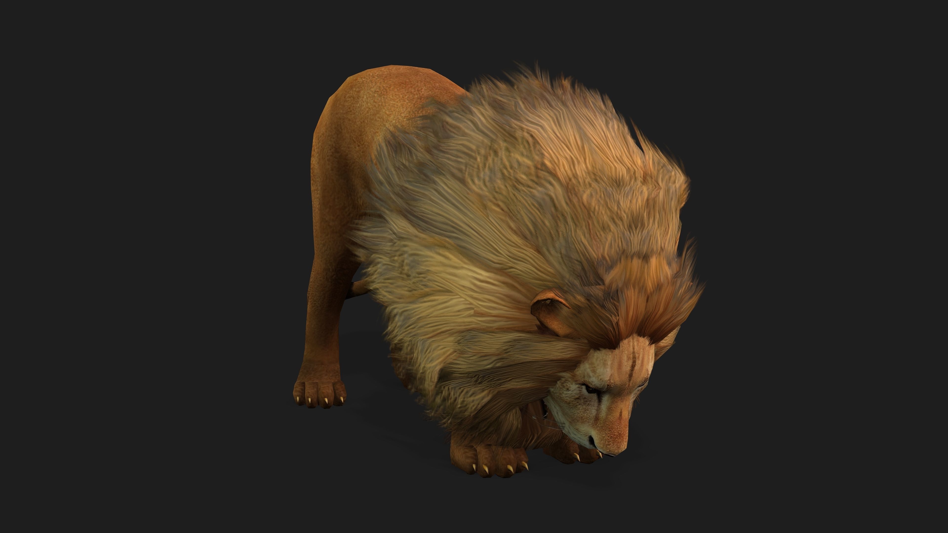 Lion with Animation 8 Low-poly 3D model_13