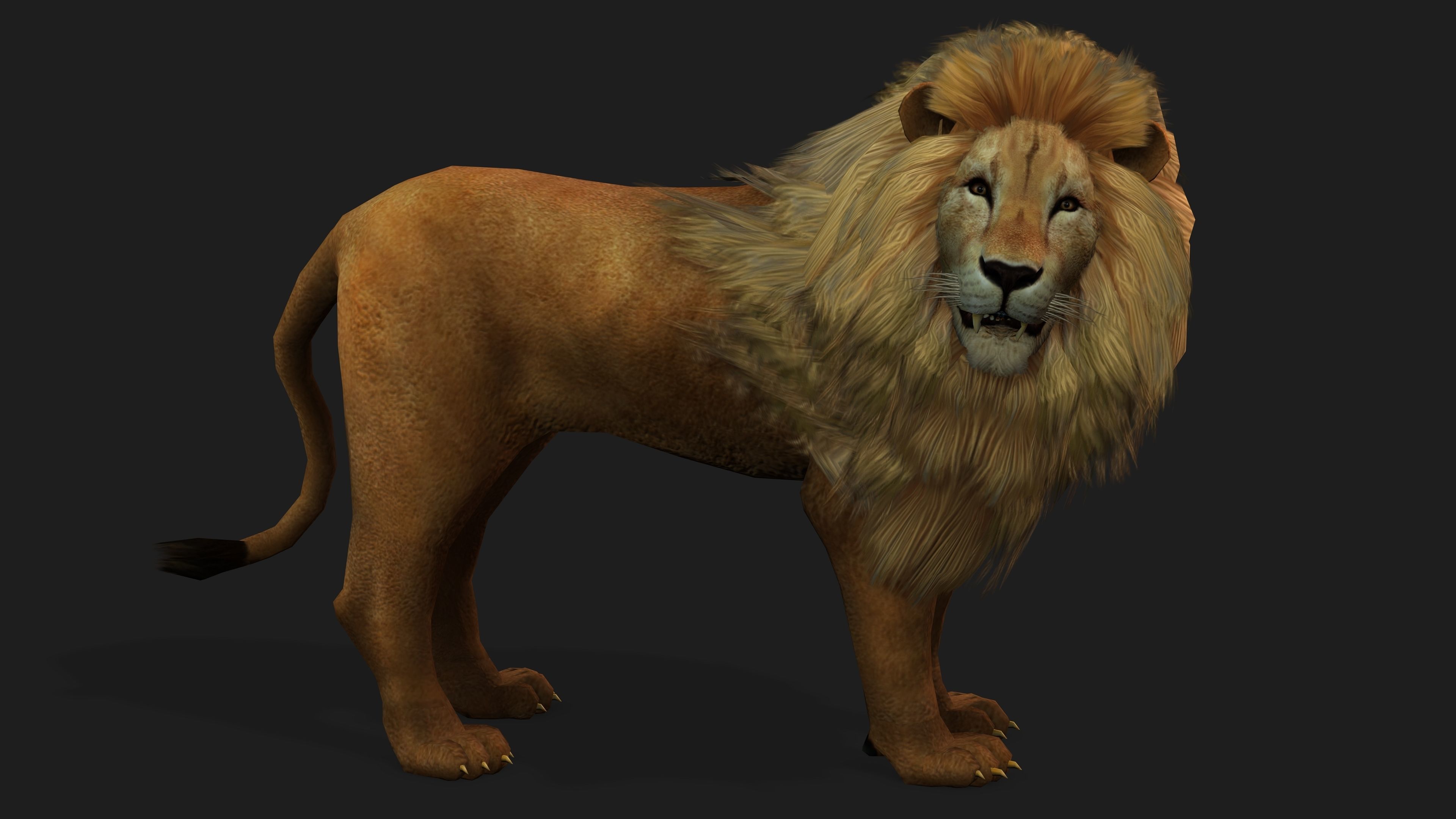 Lion with Animation 8 Low-poly 3D model_5