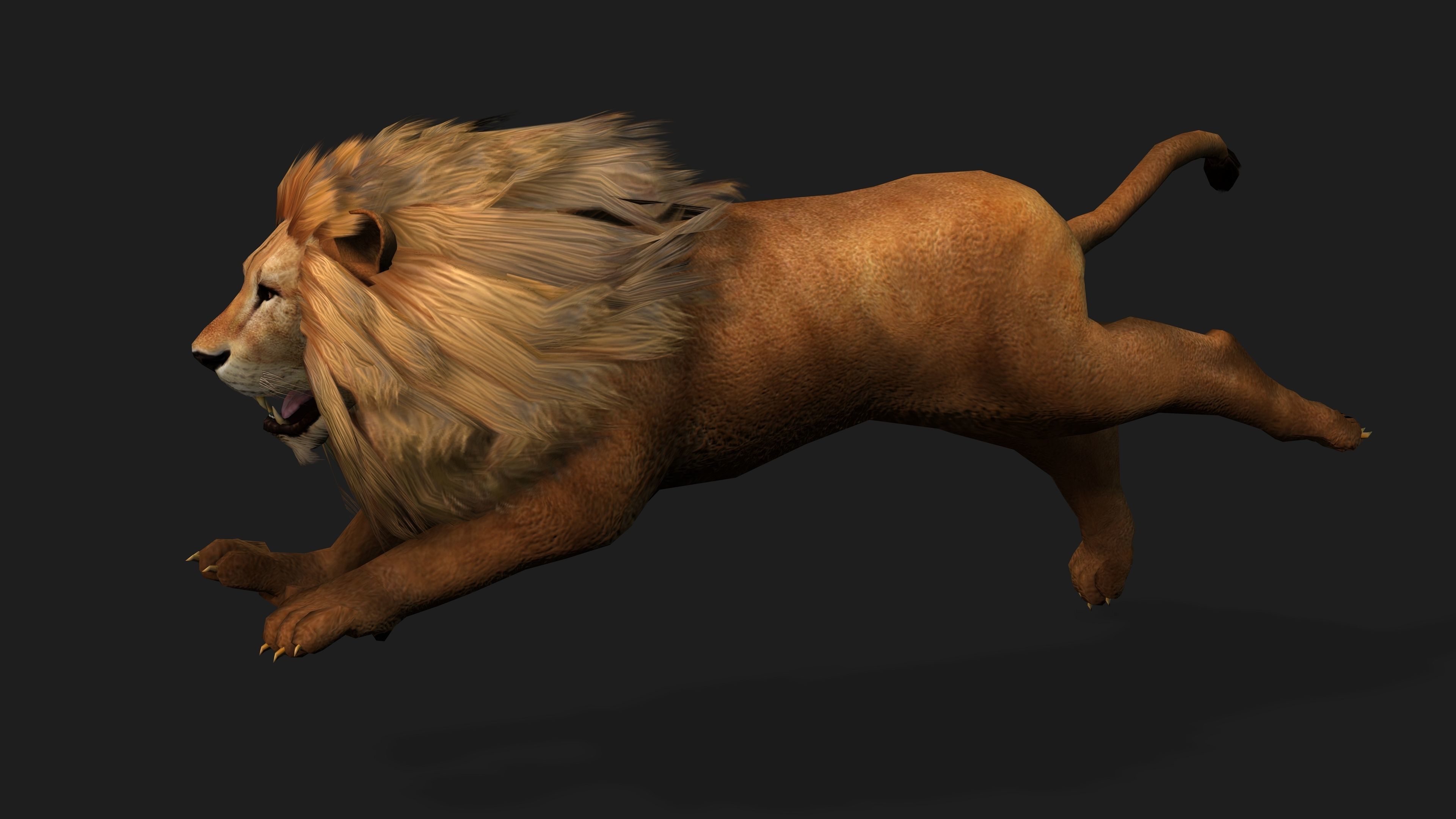 Lion with Animation 8 Low-poly 3D model_9