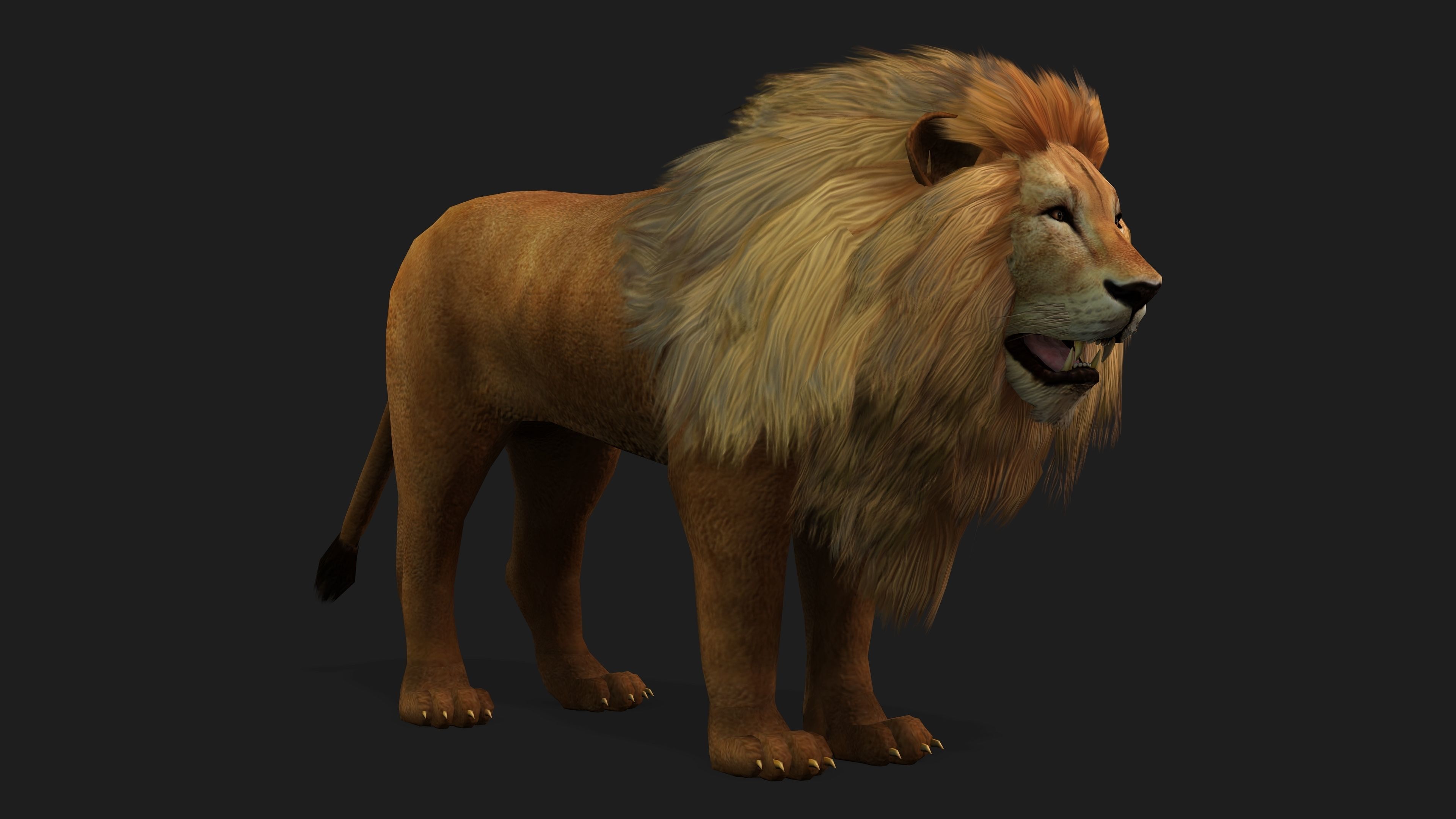 Lion with Animation 8 Low-poly 3D model_10