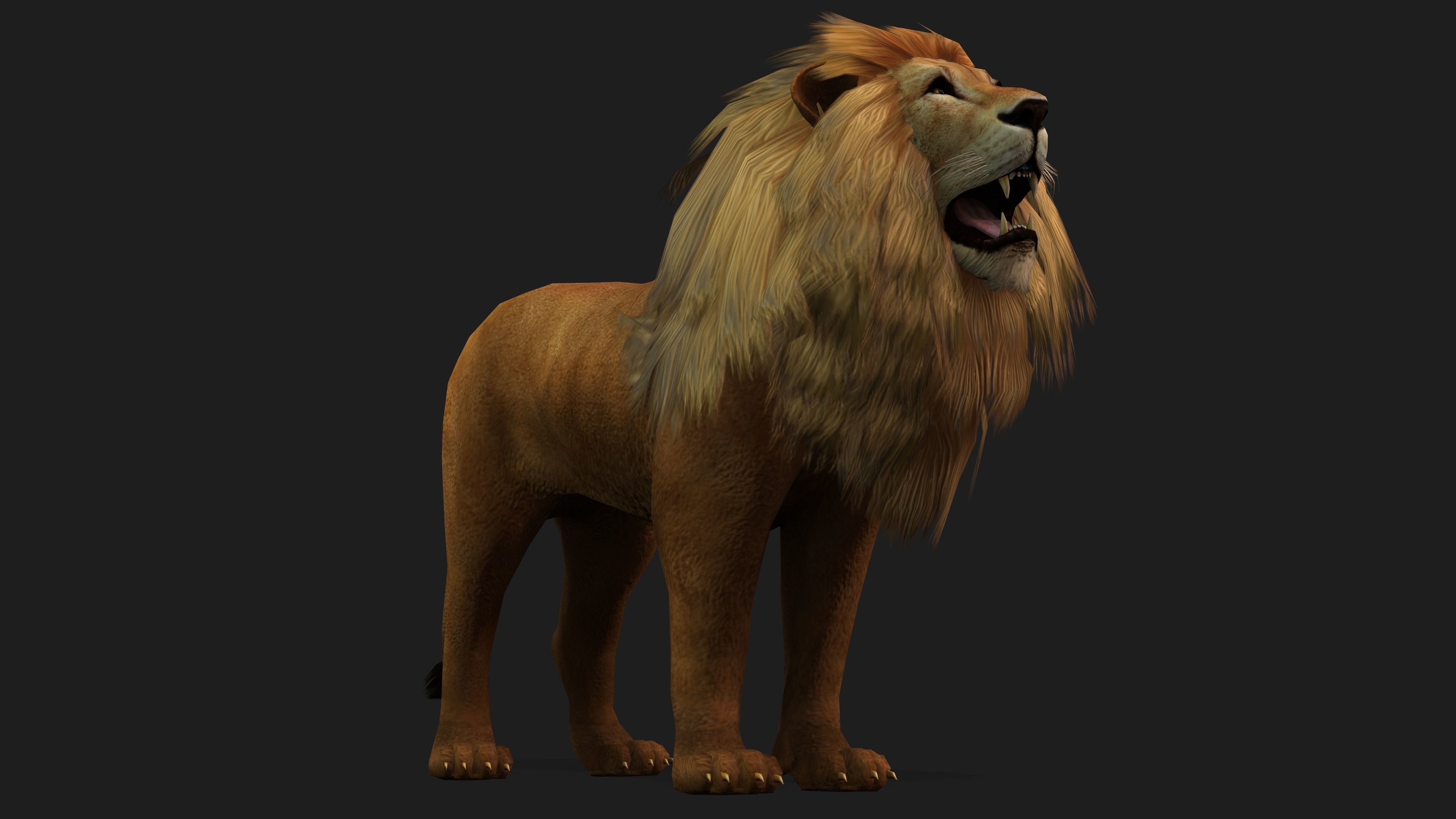 Lion with Animation 8 Low-poly 3D model_11