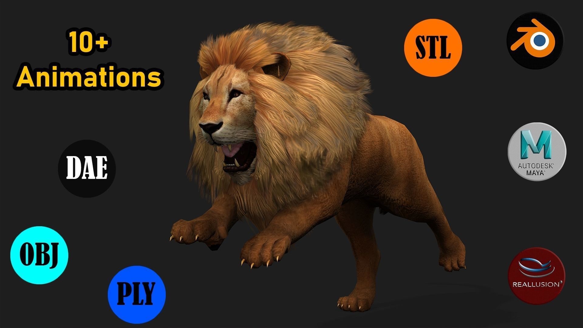 Lion with Animation 8 Low-poly 3D model_3