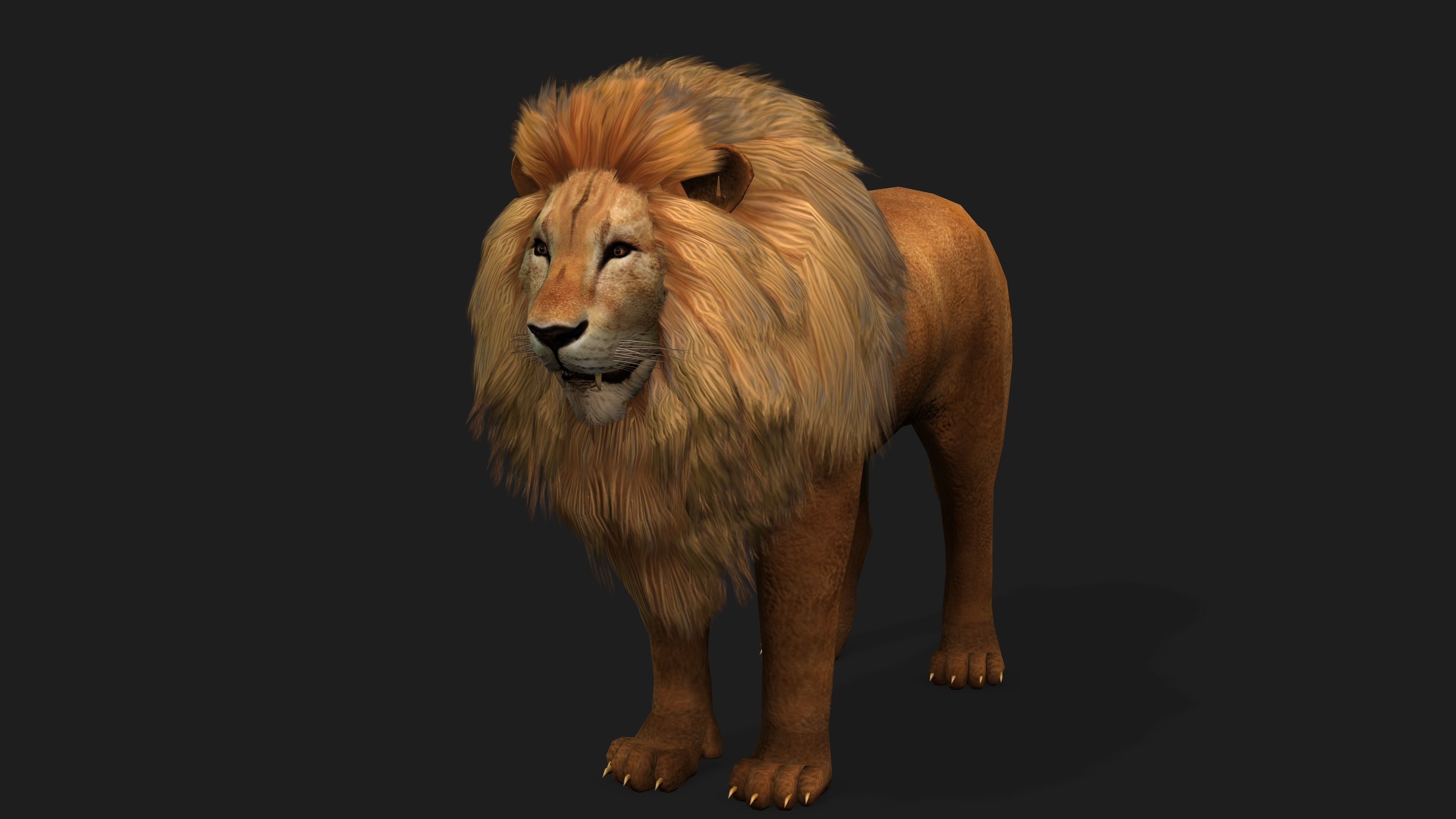Lion with Animation 8 Low-poly 3D model_6