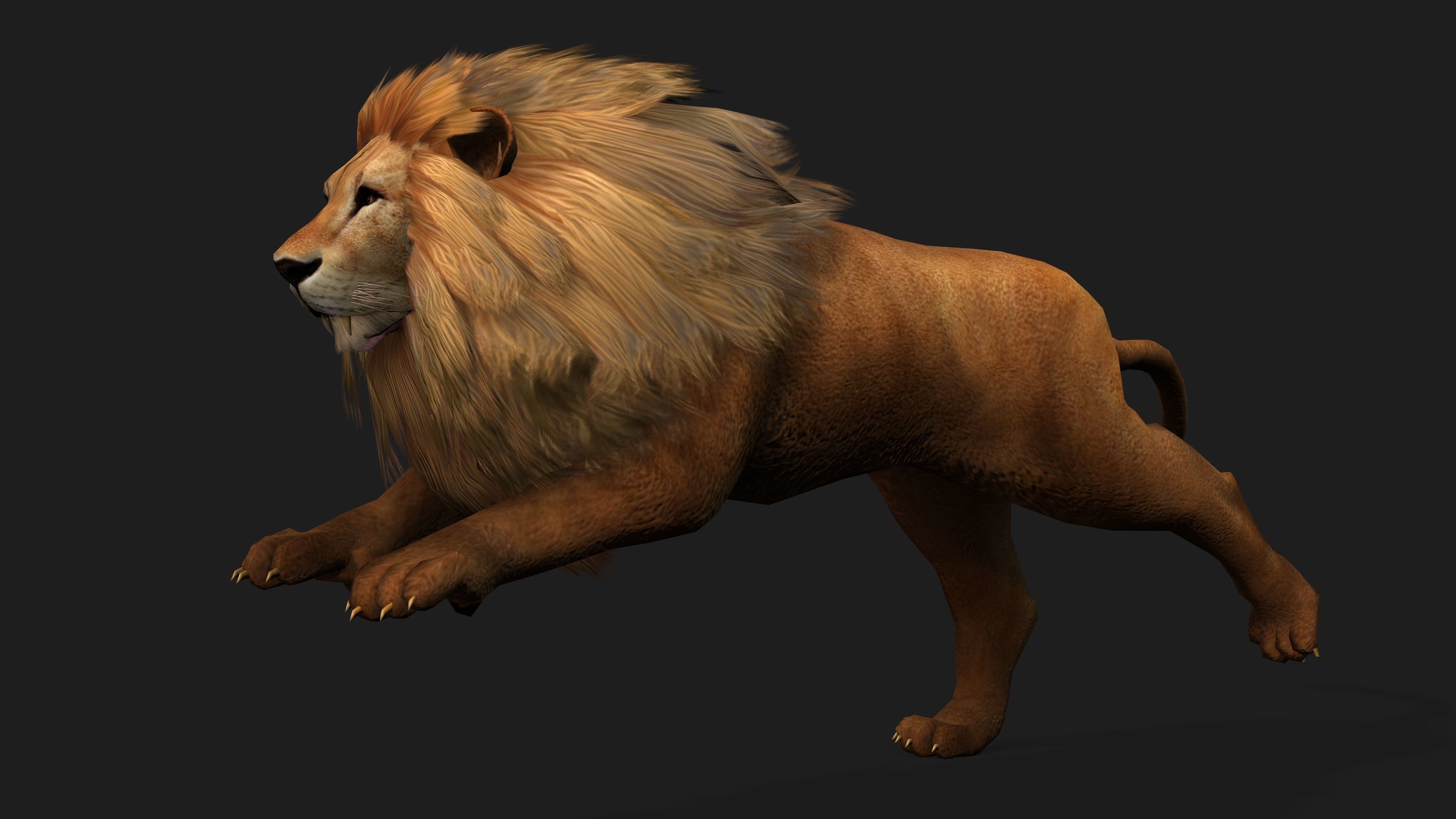 Lion with Animation 8 Low-poly 3D model_15