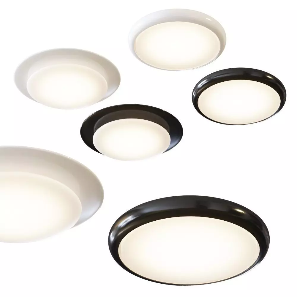 Oslo and Sky by Carpyen 3D model_0