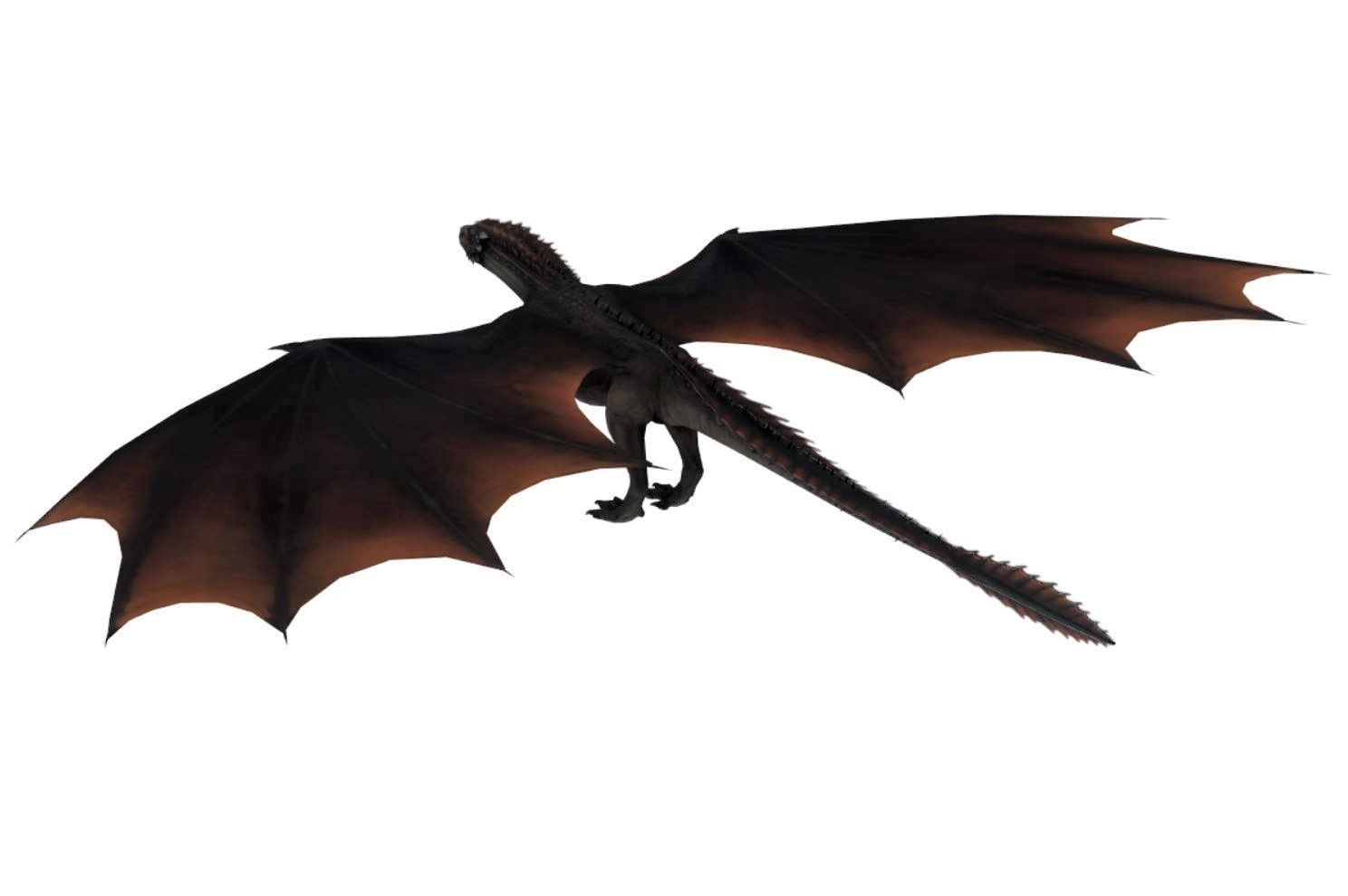 GOT - DROGON 3D model_14