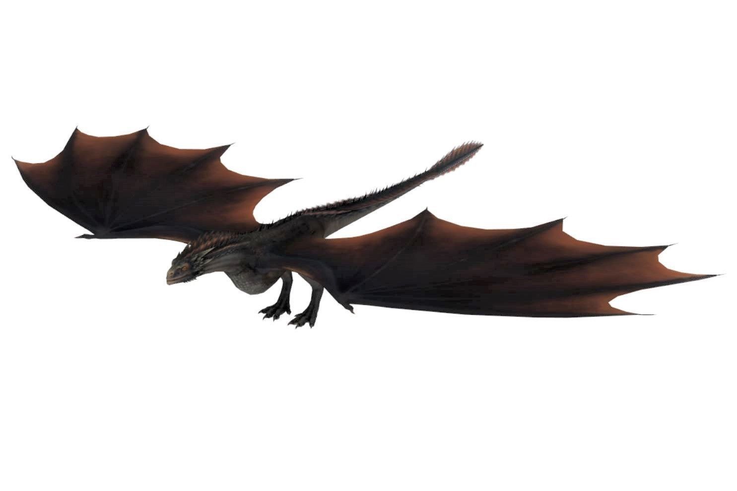 GOT - DROGON 3D model_12