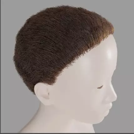 Base short particle hair Free 3D model_0