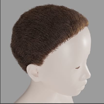 Base short particle hair Free 3D model