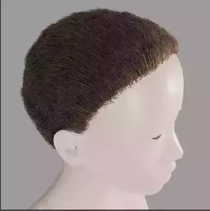 Base short particle hair Free 3D model