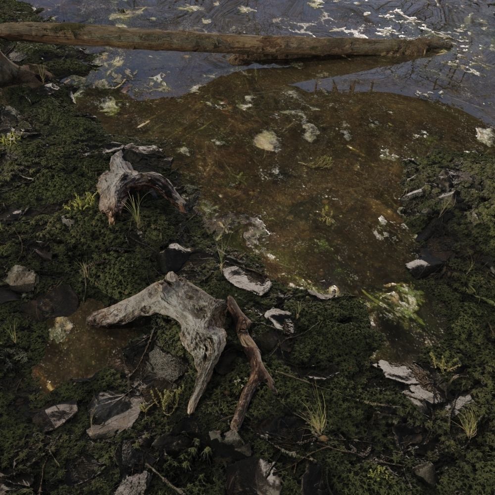 WETLAND CABIN 3D model_1