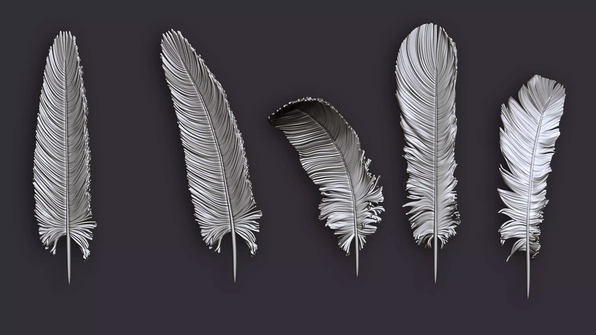 Feathers for 3d print 5 types 3D print model_0