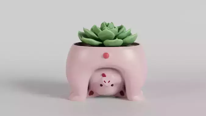 Charming Piggy Succulent Planter