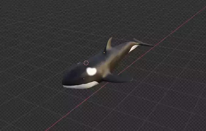  killer whale Free 3D model