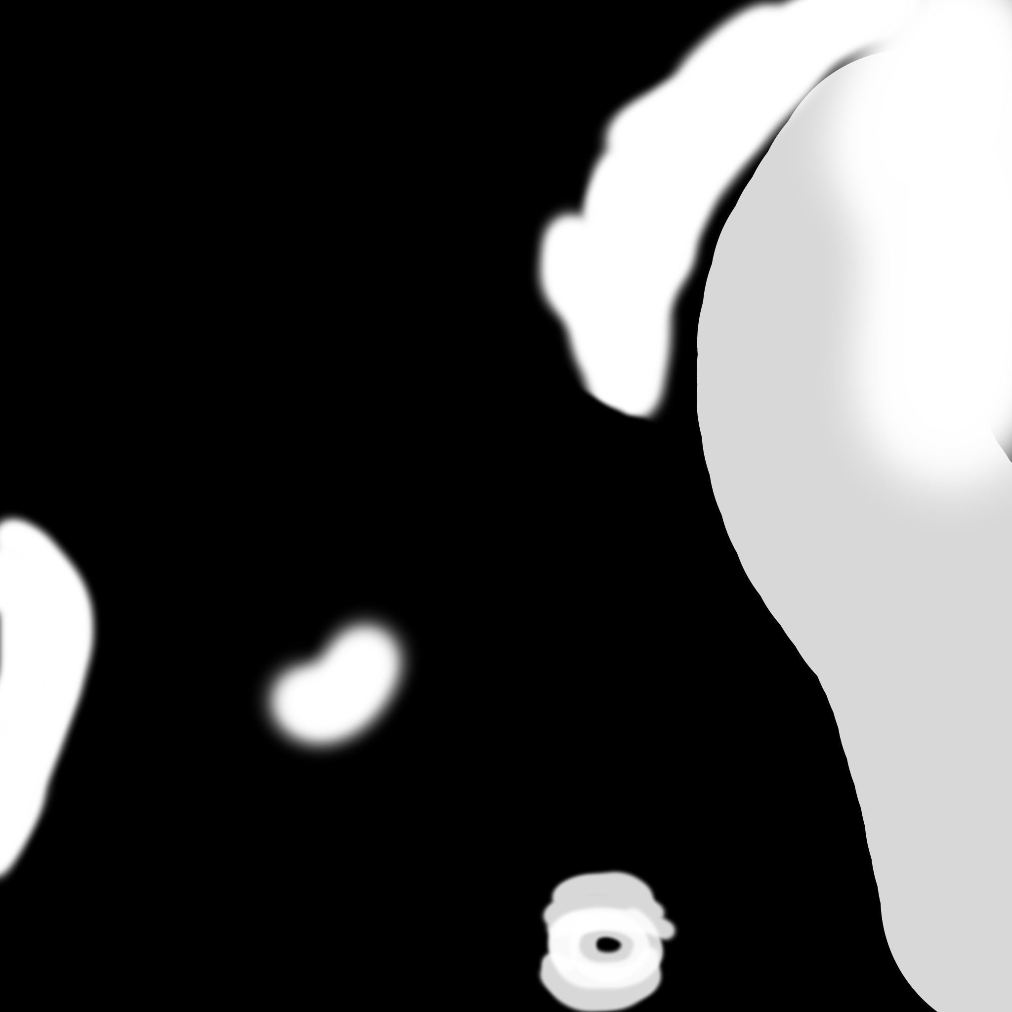  killer whale Free 3D model_1