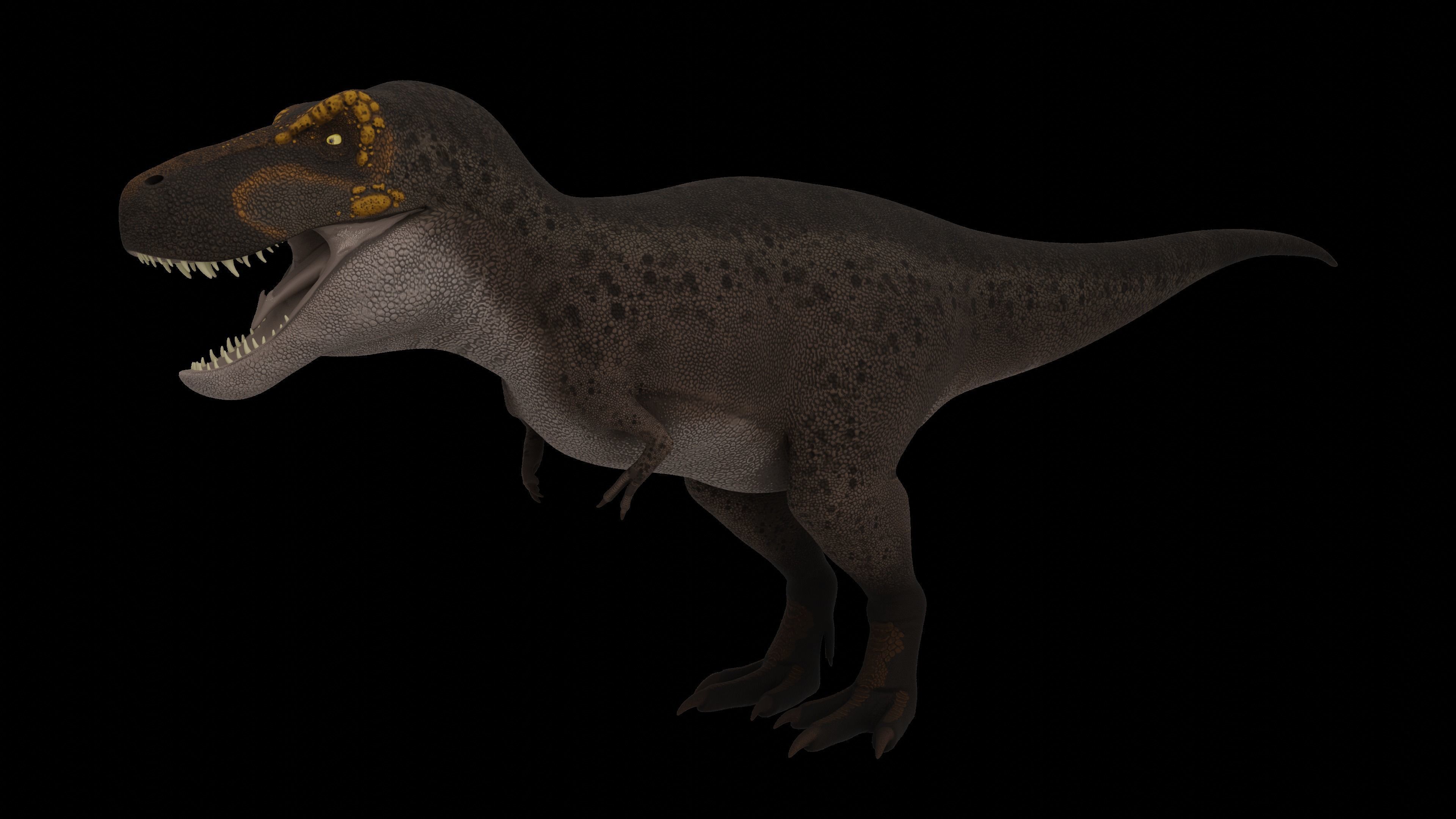 Tyrannosaurus rex Low-poly 3D model_7