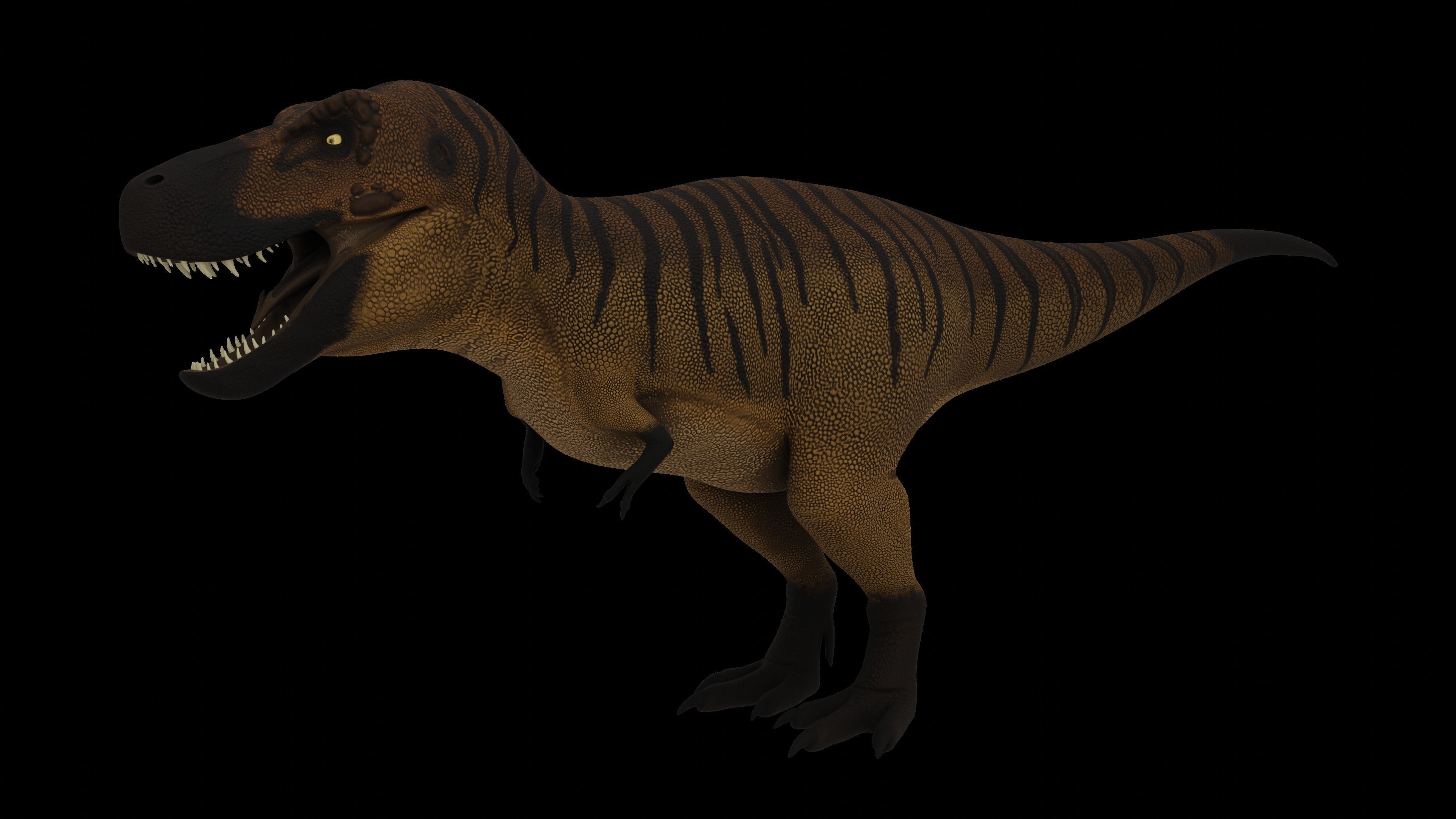 Tyrannosaurus rex Low-poly 3D model_8
