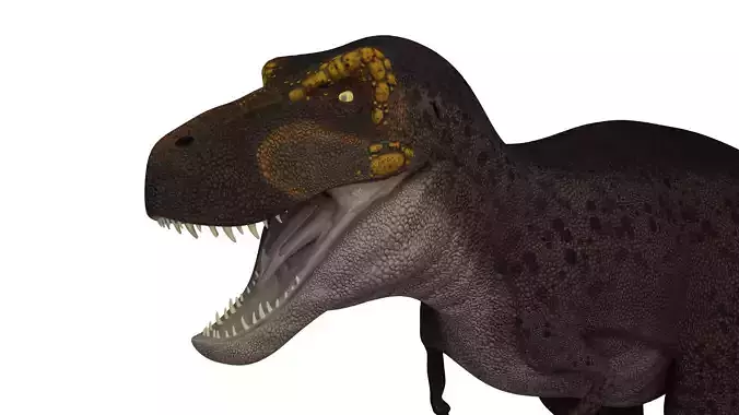 Tyrannosaurus rex 